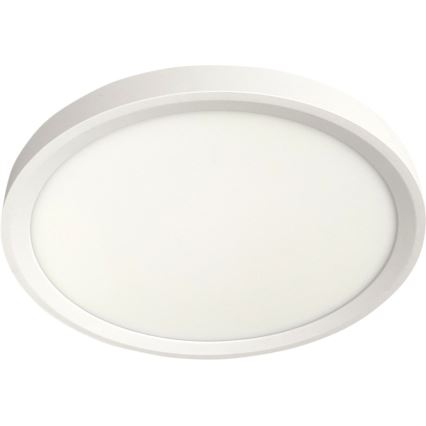 LED Stropní svítidlo LED/18W/230V 3000/4000/6500K pr. 23 cm bílá